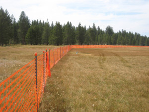 photo of exclusion fencing to protect existing meadow