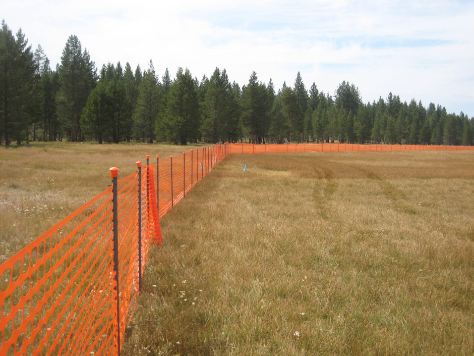 Bijou Erosion Control Project - South Lake Tahoe, CA - SWPPP inspections in 2013 - photo of exclusion fencing to protect existing meadow